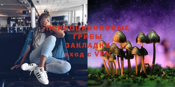 PSILOCYBIN Белоозёрский